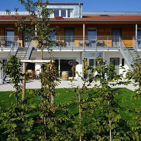 Апартаменты Weingut Schaaf Лауффен-ам-Неккар Экстерьер фото