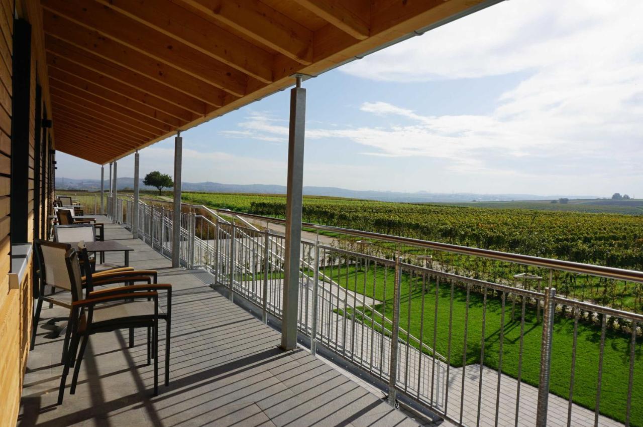 Апартаменты Weingut Schaaf Лауффен-ам-Неккар Экстерьер фото